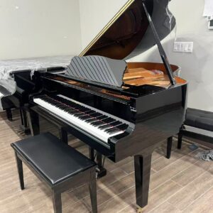 2019 YAMAHA BABY GRAND PIANO GN2